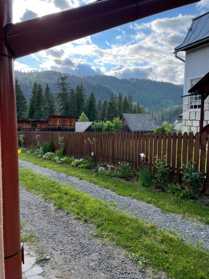 Villa Montana Борсек Экстерьер фото