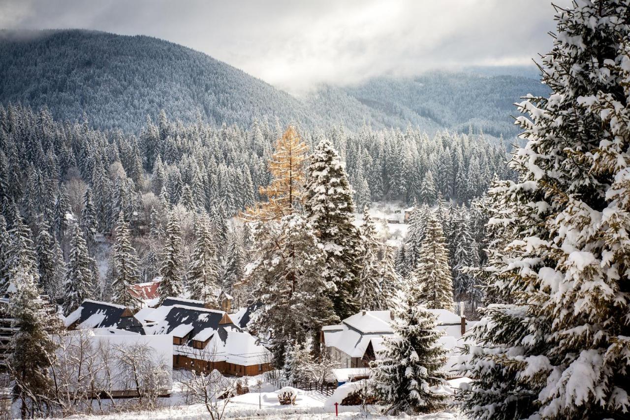 Villa Montana Борсек Экстерьер фото